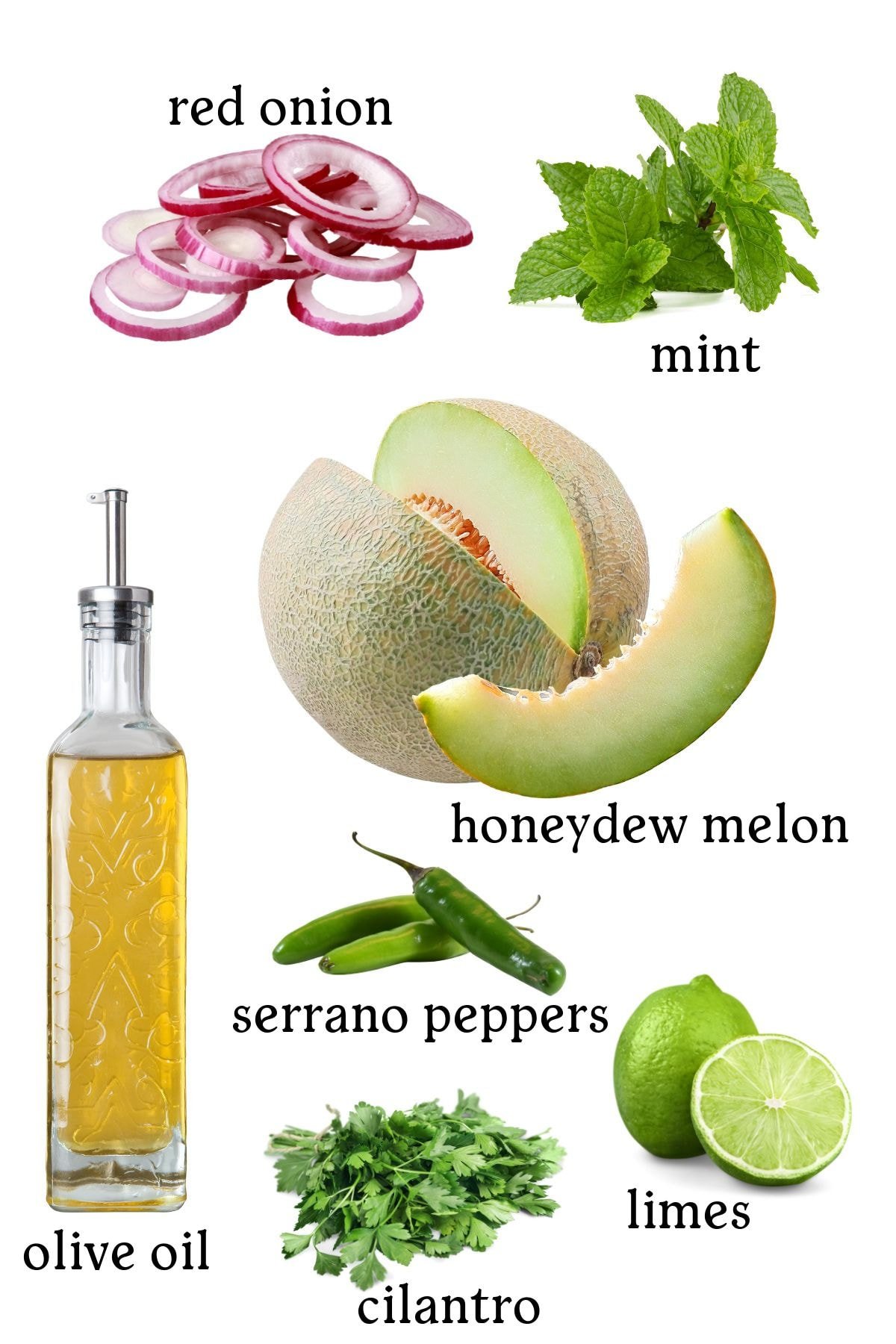 Labeled ingredients for honeydew fruit salsa recipe.