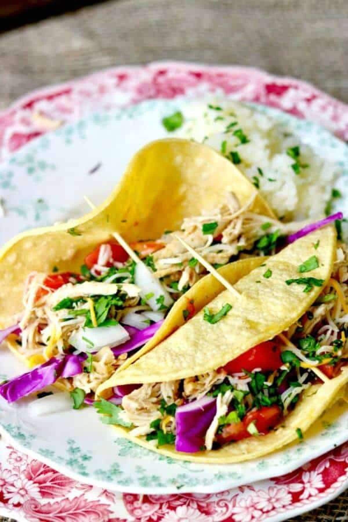 Chicken tacos on a green and white plate.