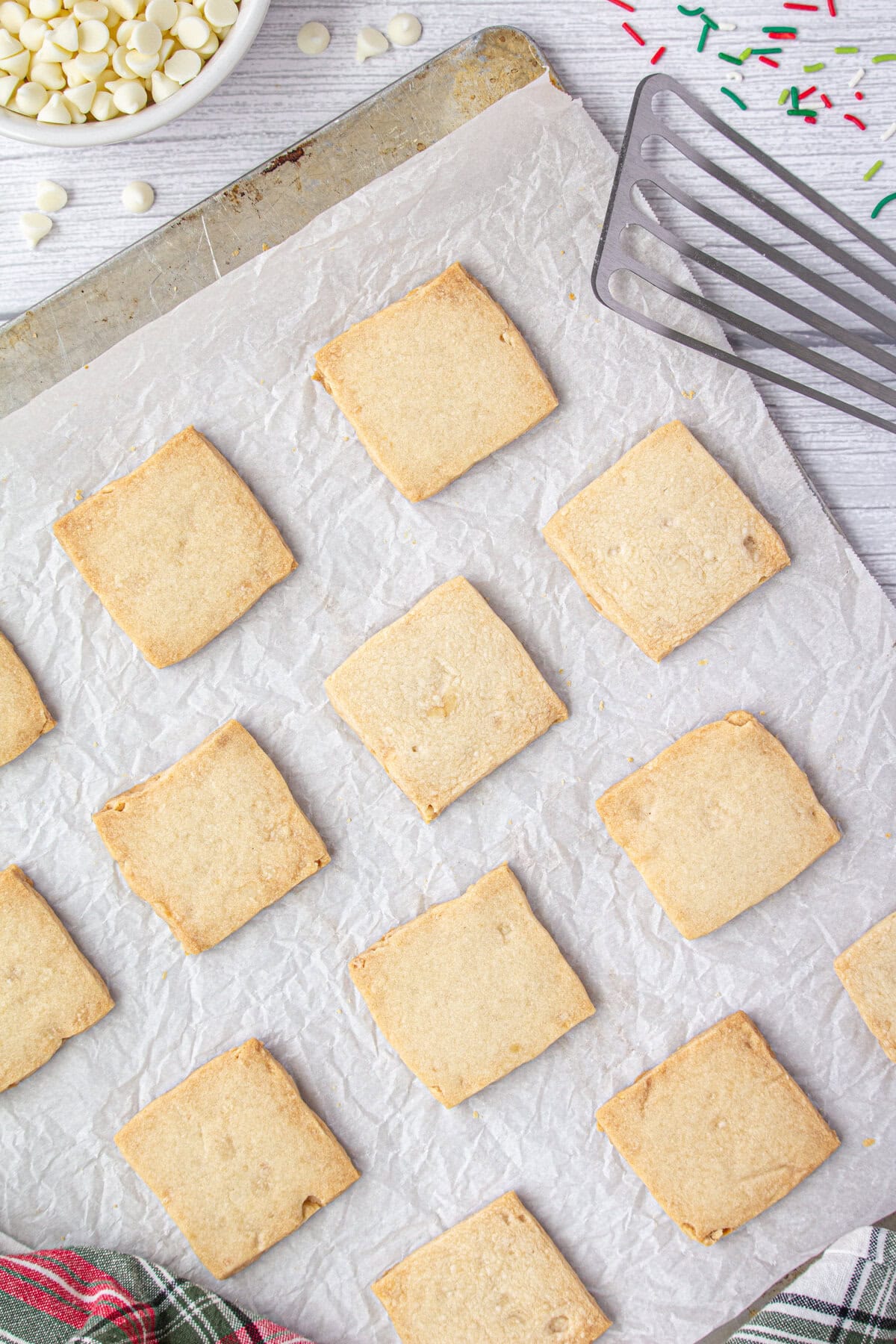 Baked cookies on a baking sheet.