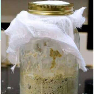 Closeup of sourdough starter for feature image.