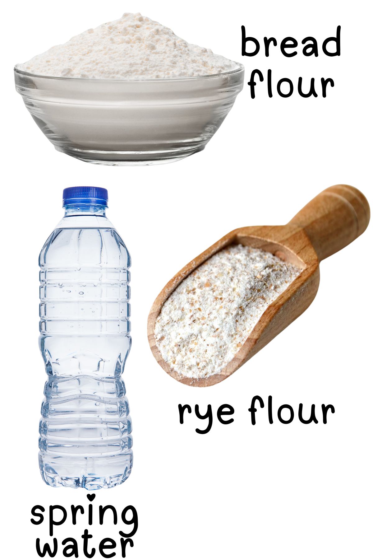Labeled ingredients for sourdough starter.