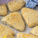 Lavender scones on a baking sheet, fresh out of the oven.