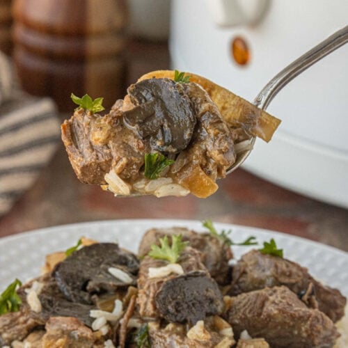 Spoonful of crockpot beef tips with mushrooms in rich brown gravy over rice