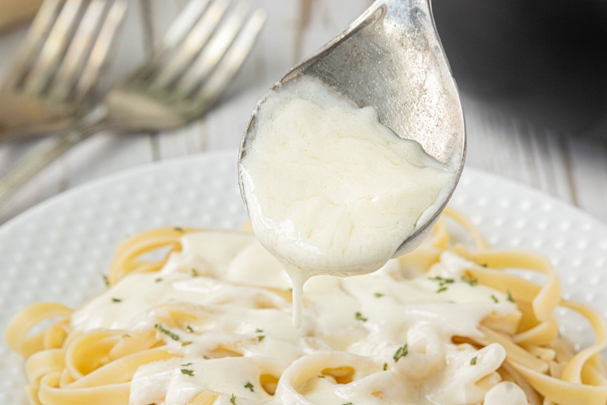 Creamy homemade 3 ingredient Alfredo sauce spooned over fettuccine pasta on a white plate
