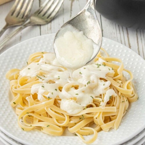 Close-up of fettuccine Alfredo with creamy Parmesan sauce