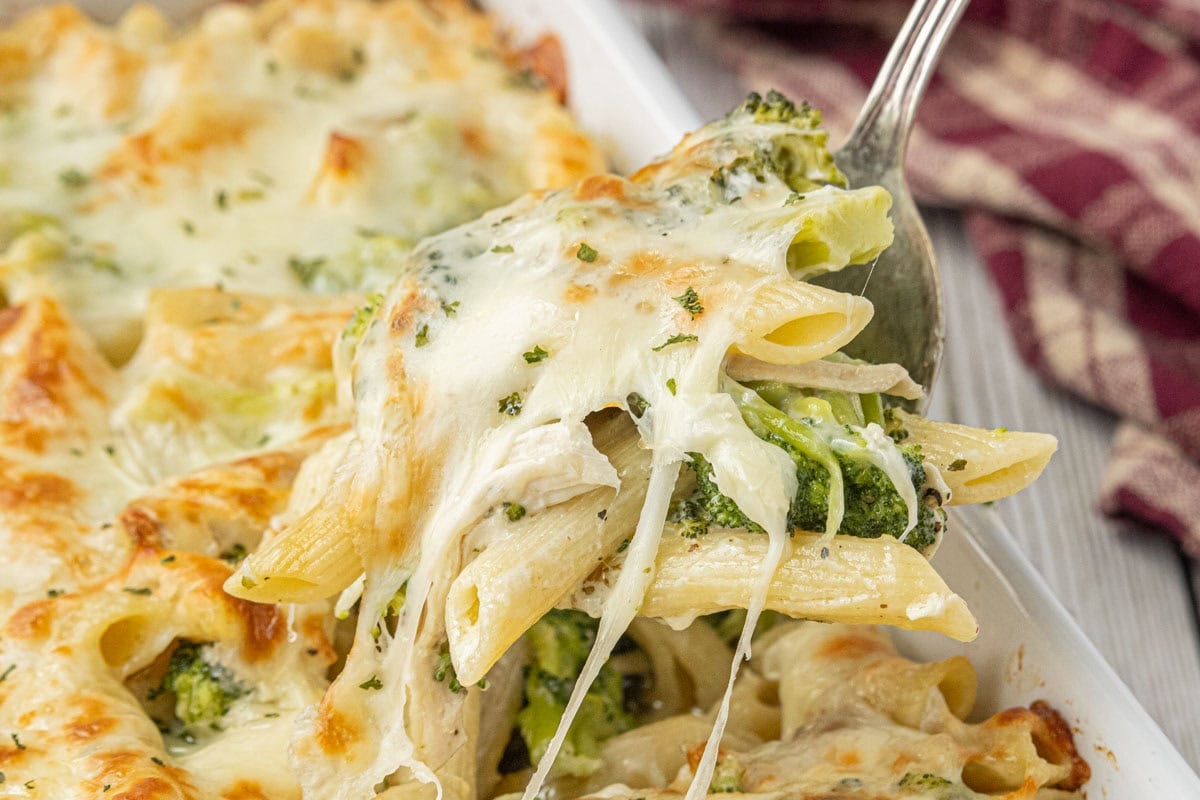 baked chicken broccoli alfredo casserole with creamy sauce and melted cheese being served