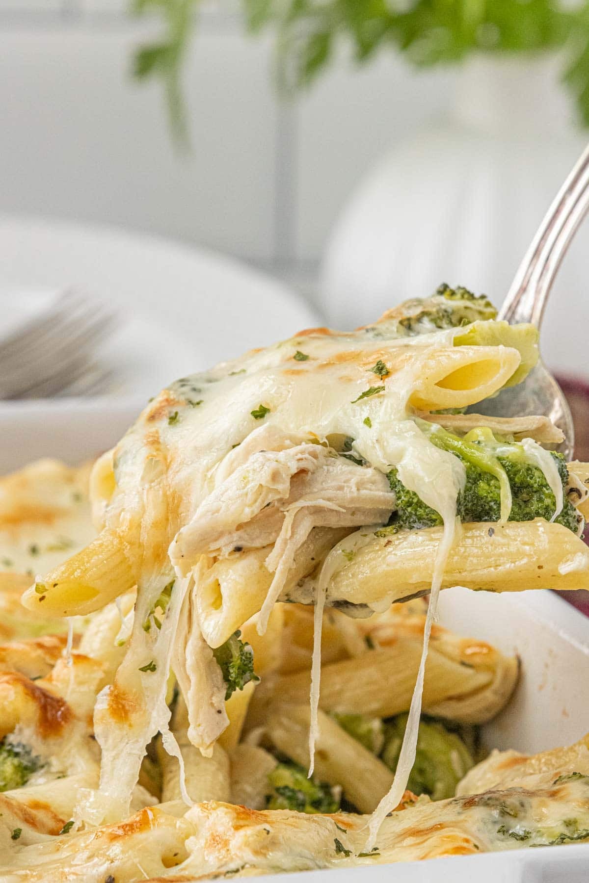 cheesy chicken and broccoli alfredo casserole baked with golden melted mozzarella