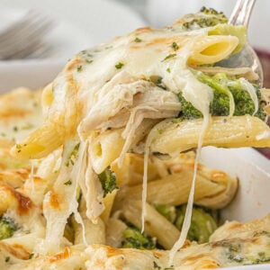 creamy chicken and broccoli alfredo casserole with melted mozzarella and penne pasta close up