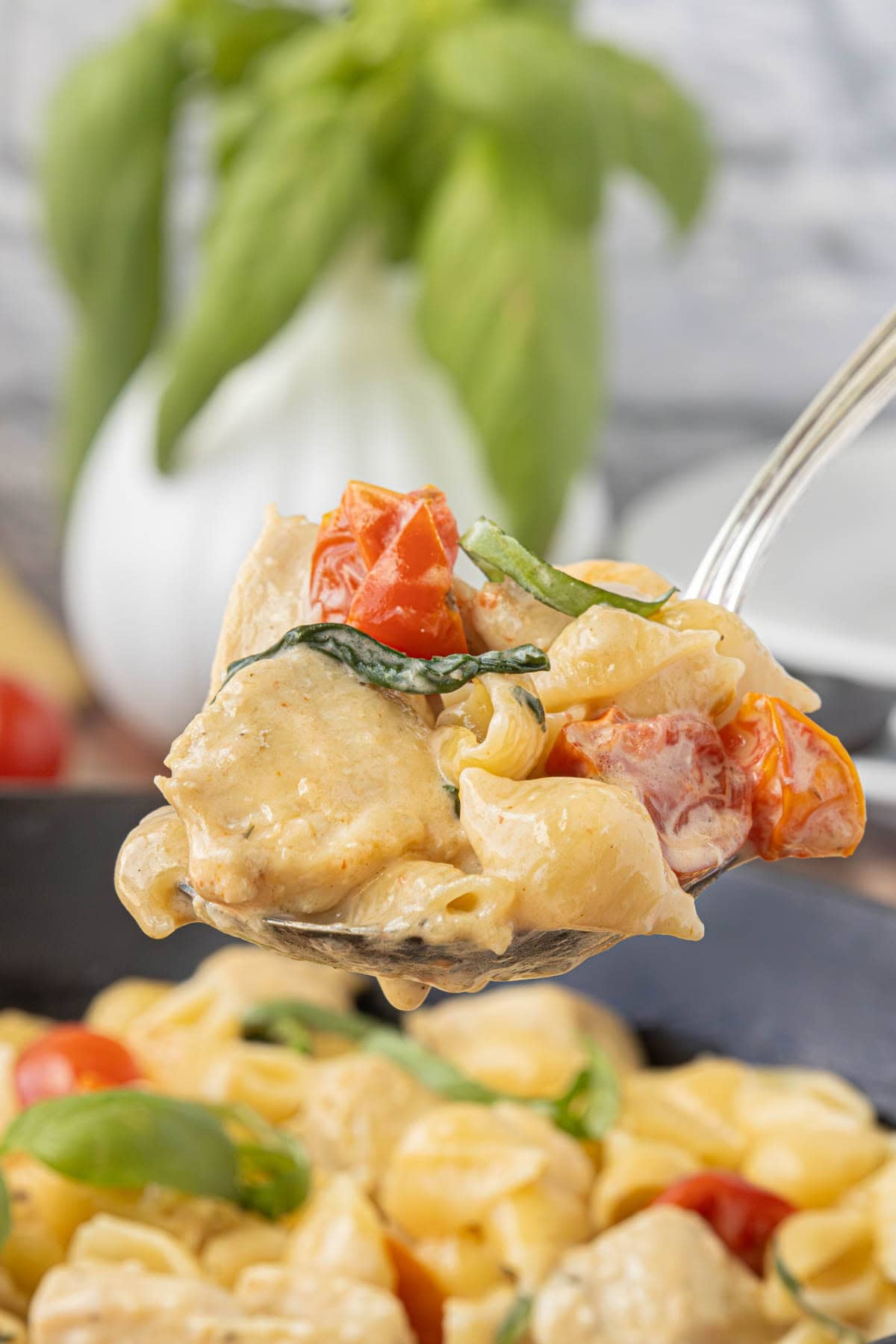 Spoonful of creamy chicken spinach pasta with spinach and tomatoes