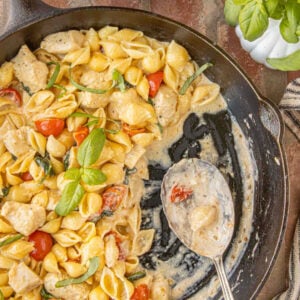 Creamy chicken and spinach Alfredo pasta with shell pasta and cherry tomatoes in a black cast iron skillet