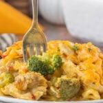 Pimento cheese chicken casserole served on plate with broccoli chicken and cheesy pasta.