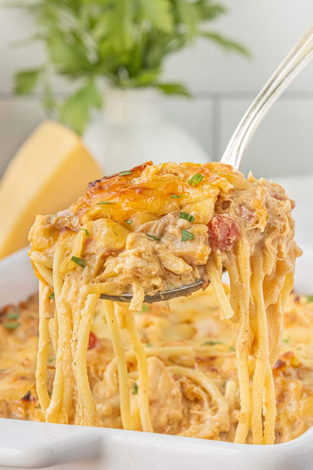 BBQ chicken spaghetti casserole with creamy sauce, smoked Gouda, Rotel tomatoes, and shredded chicken on a serving spoon