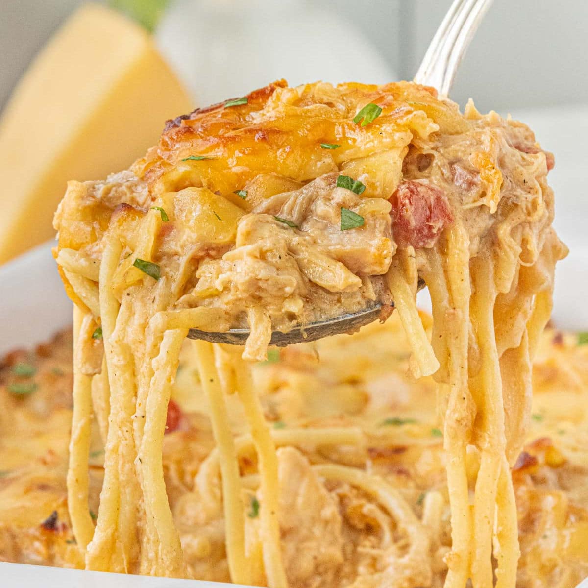 Cheesy BBQ chicken spaghetti casserole lifted from the baking dish with strands of creamy spaghetti and shredded chicken