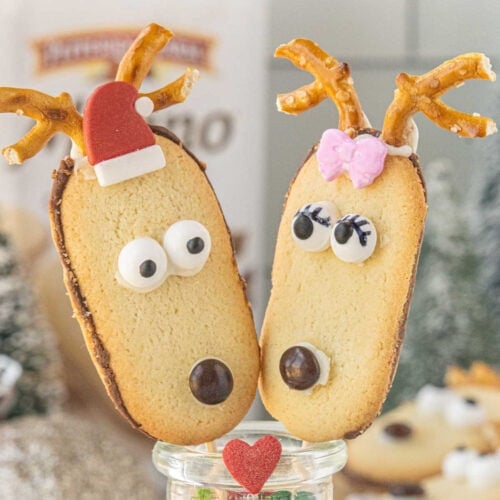 No-bake Milano reindeer cookies decorated with pretzel antlers, candy eyes, and M&M noses