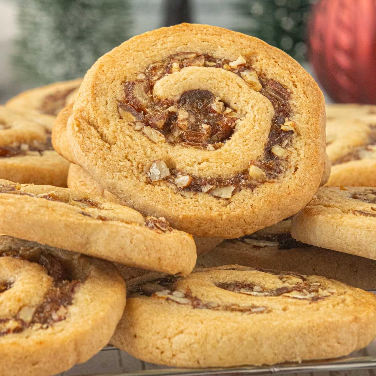 Close-up of a golden brown date nut pinwheel cookie with a spiral of chopped dates and pecans.