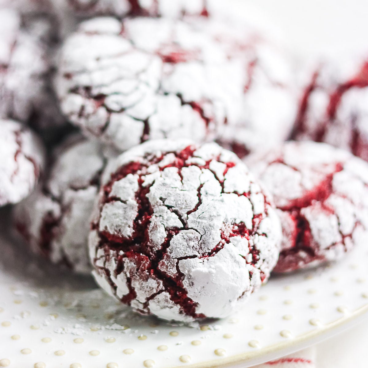 Close-up of a red velvet crinkle cookie with powdered sugar and deep red cracks